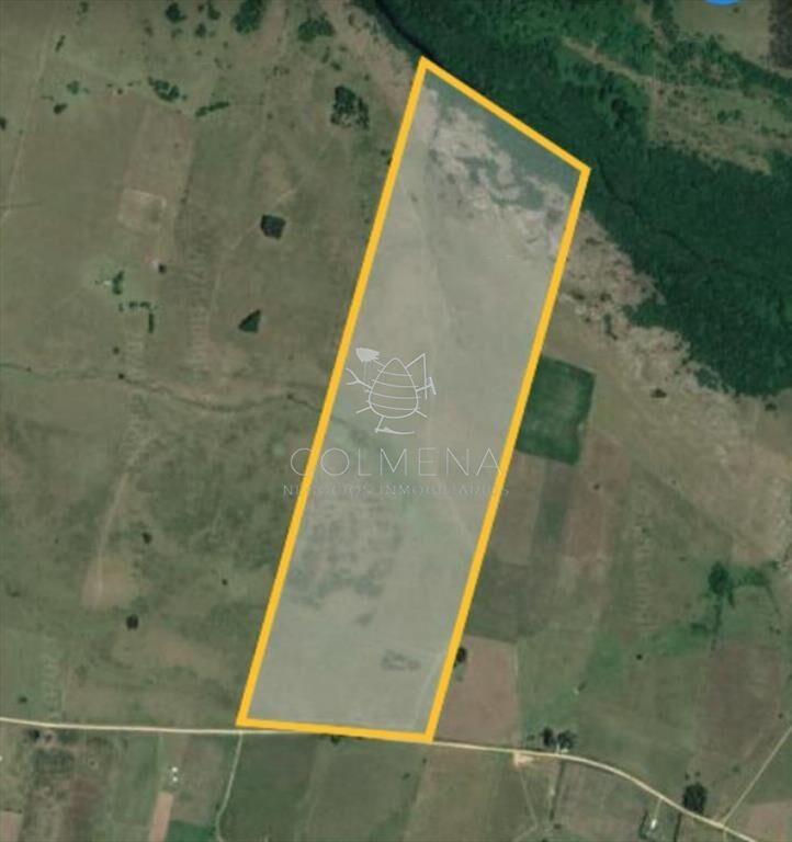 Campo de 66 has con 1991 m2 - En Corte la Leña -