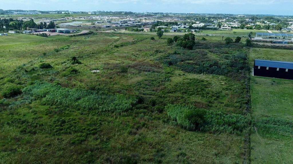 VENTA LOTE TERRENO 4HA. CAMINO DE LOS AROMOS