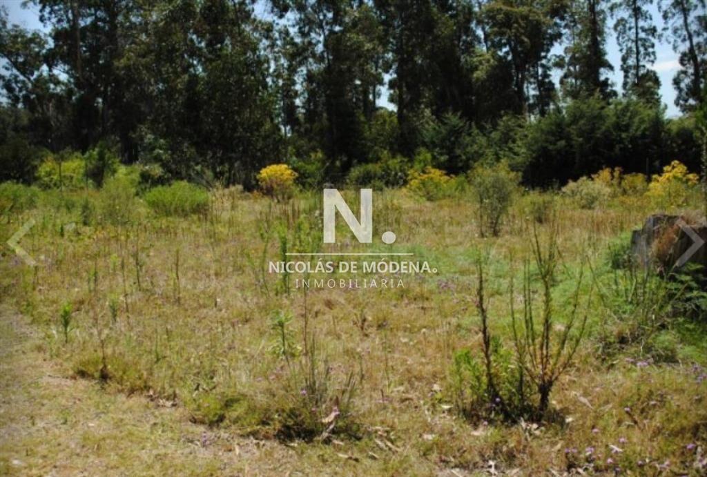 Terreno en venta en Golf Punta del Este