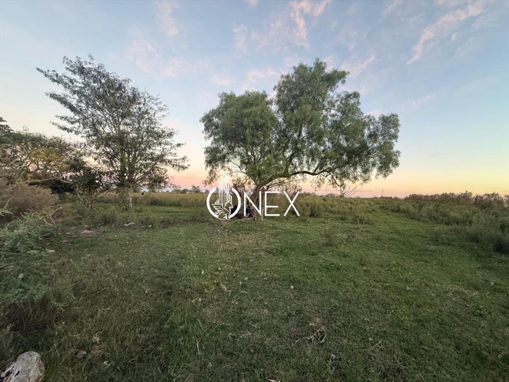 Se vende chacra en Sarandí de la china en