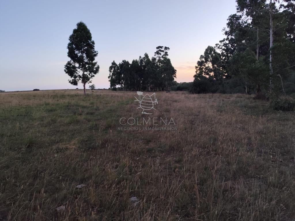 Campo de 30 has en Paso de Dutra