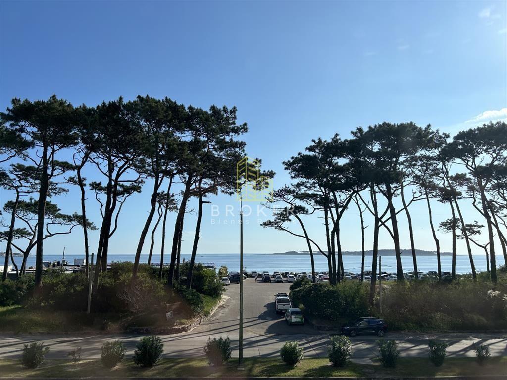Venta de apartamento primera linea en playa Punta