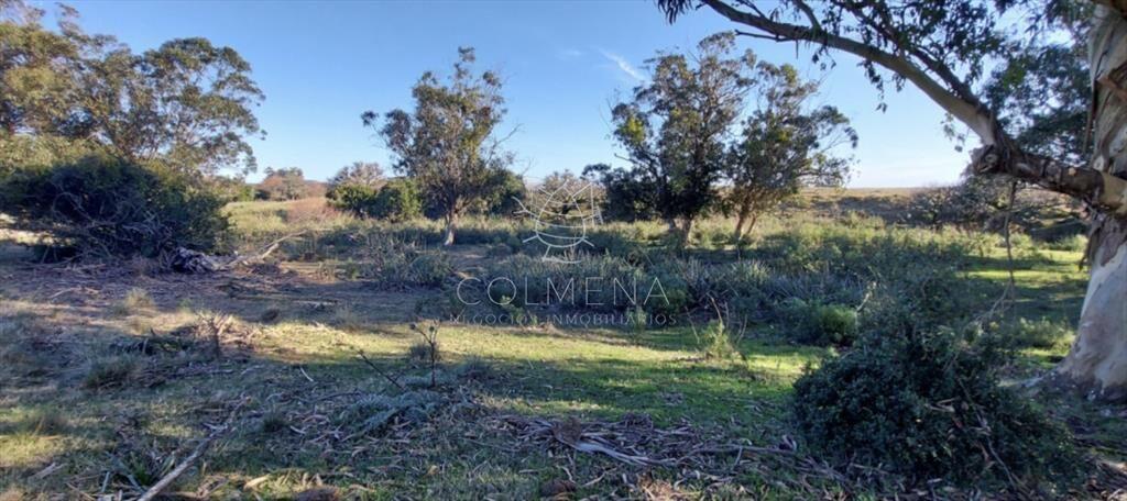 Campo en Las Garzas frente ruta y cerca del mar.