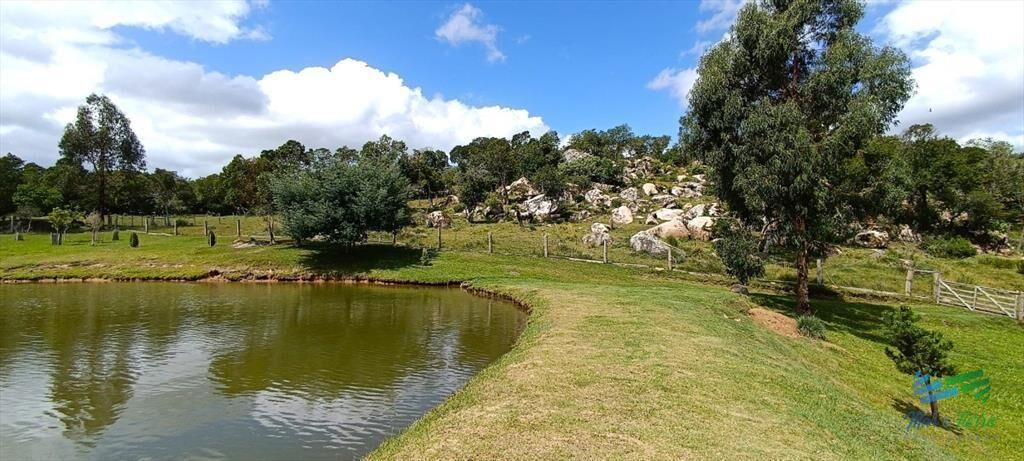 Campo en venta, a los pies del Cerro Catedral,