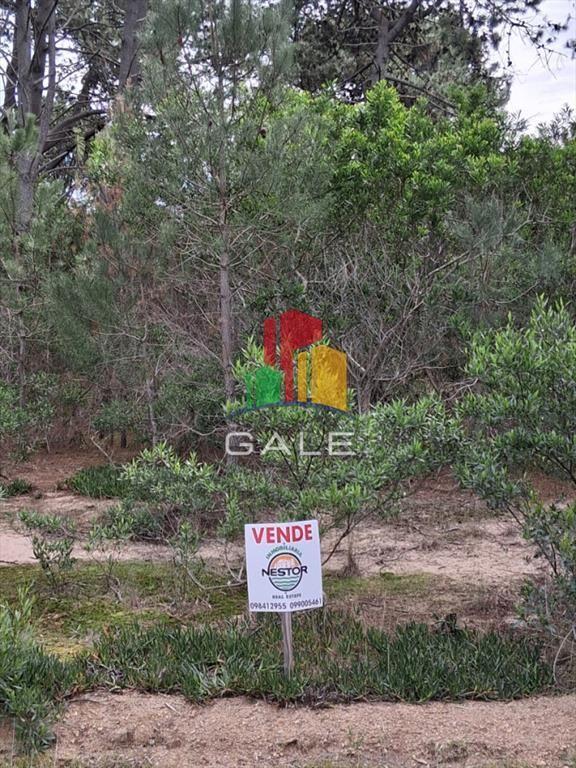 Terreno en Punta Ballena, Chihuahua