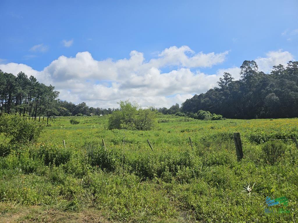 Venta de terreno de 4.000 m2 en las Silvias Punta