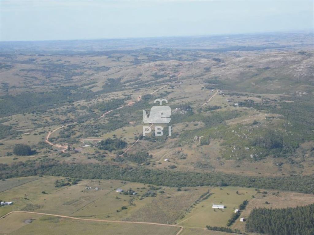 Terreno en venta Las Cañas  - Ref : PBI1289