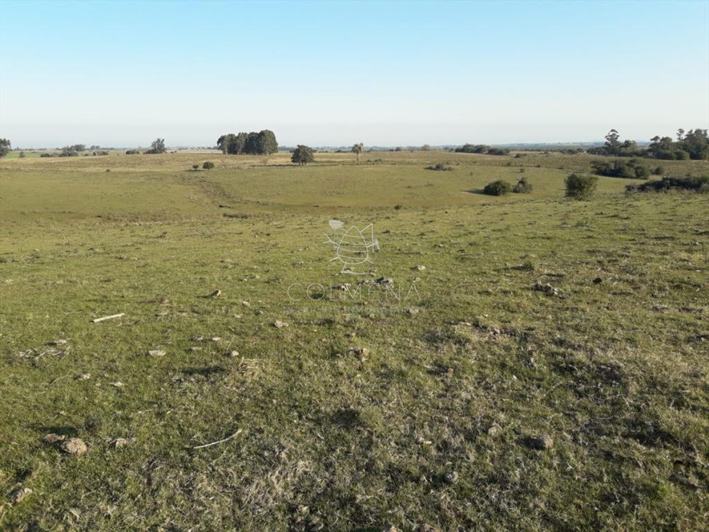 Campo de 66 has con 1991 m2 - En Corte la Leña -