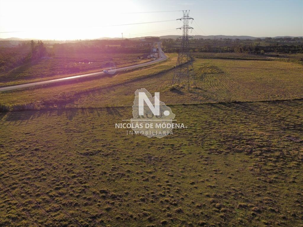 Vende campo de 4000m2 cerca de San Carlos