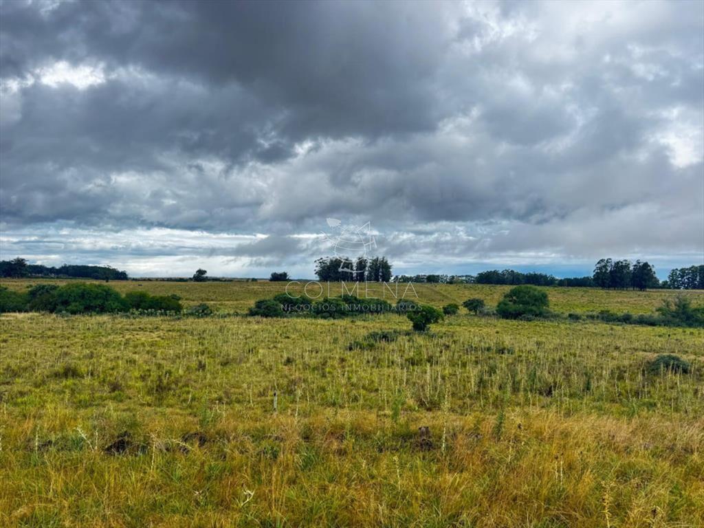 Campo en Medellin