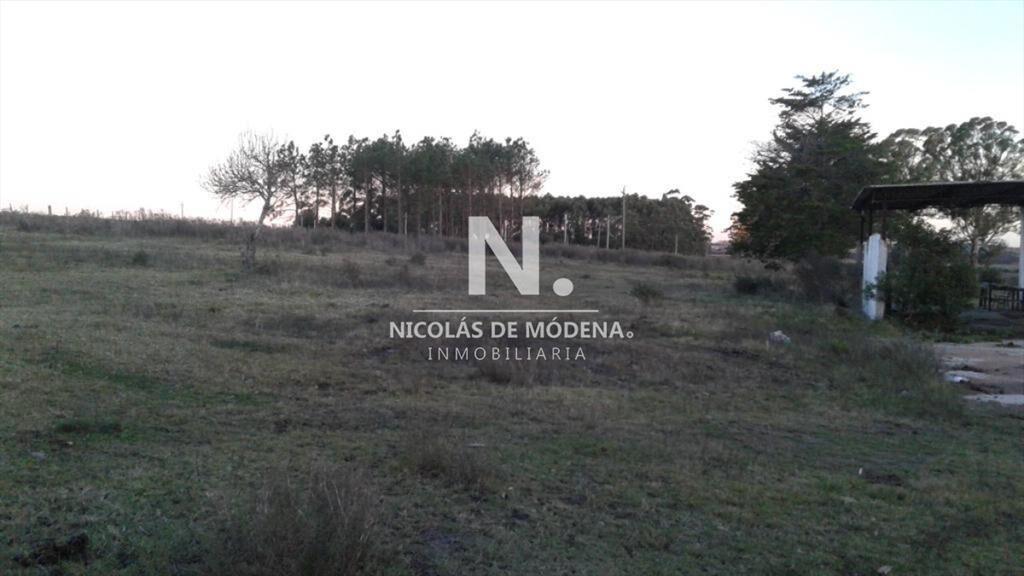 Campo próximo a ruta 12