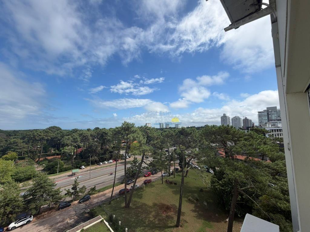 Apartamento en alquiler de 1 dormitorio en Punta