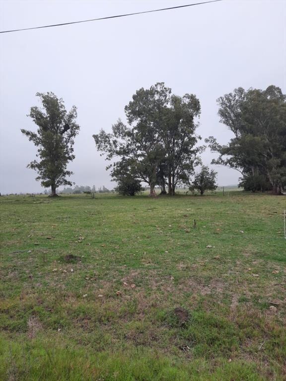 Buen predio rural, 24 héctareas a 600 m Ruta 5, KM 50.