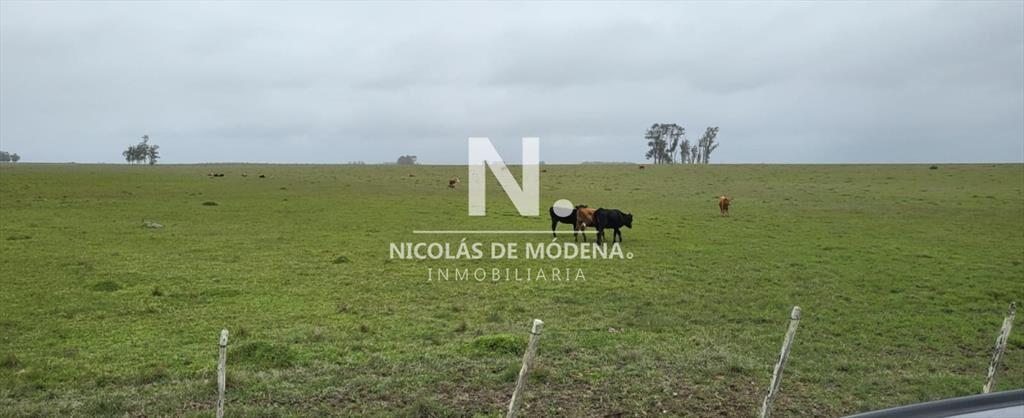 En venta campo en Treinta y Tres, ubicado a 12 de