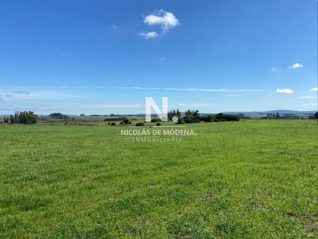 Venta Campo en Maldonado