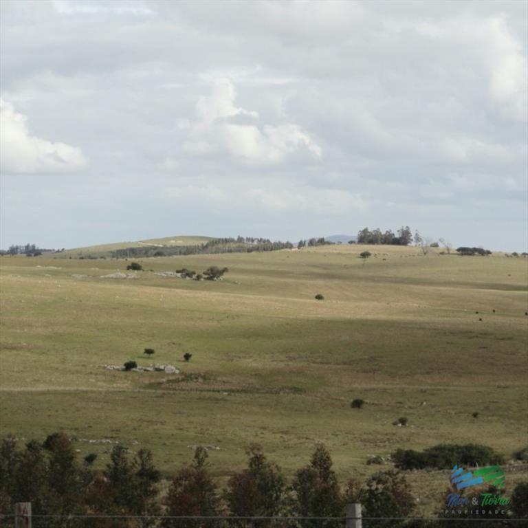 BAJO DE PRECIO...Campo sobre R.12 y a menos de 1