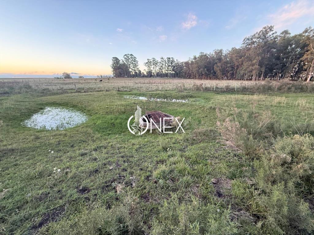 Se vende chacra en Sarandí de la china en