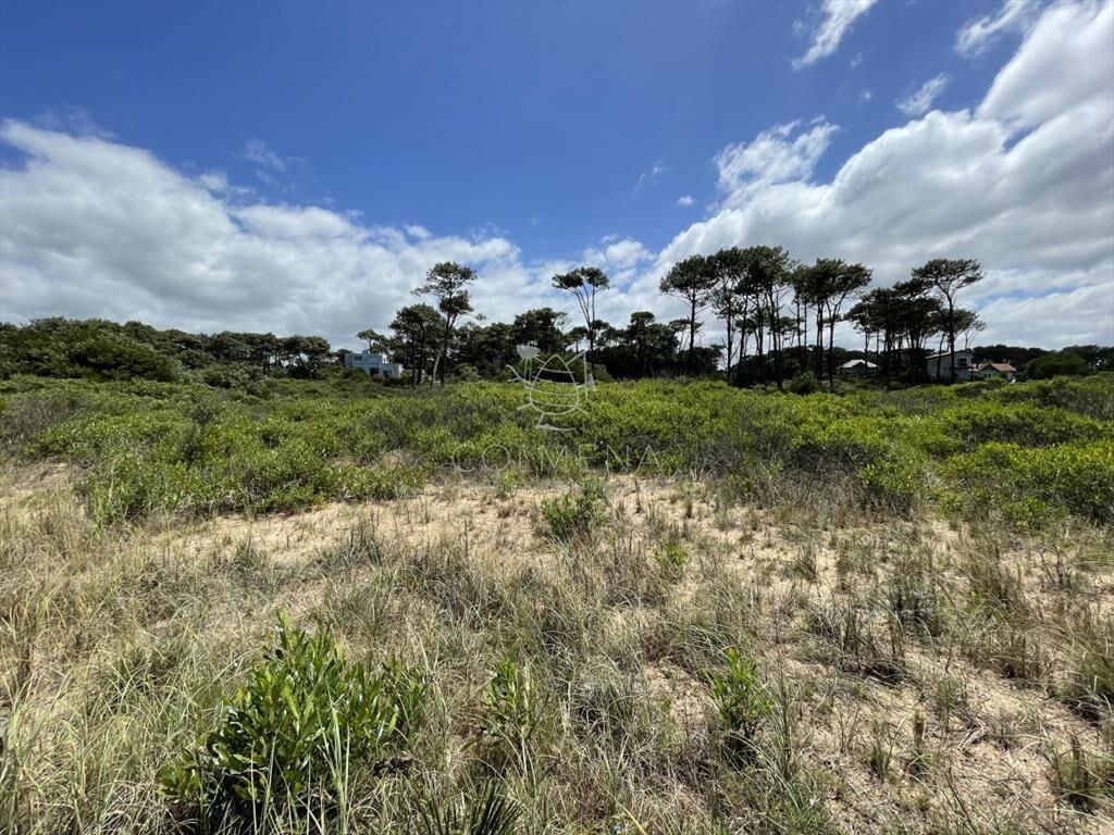Oportunidad en Chihuahua terreno 1055 m2 a 100 de