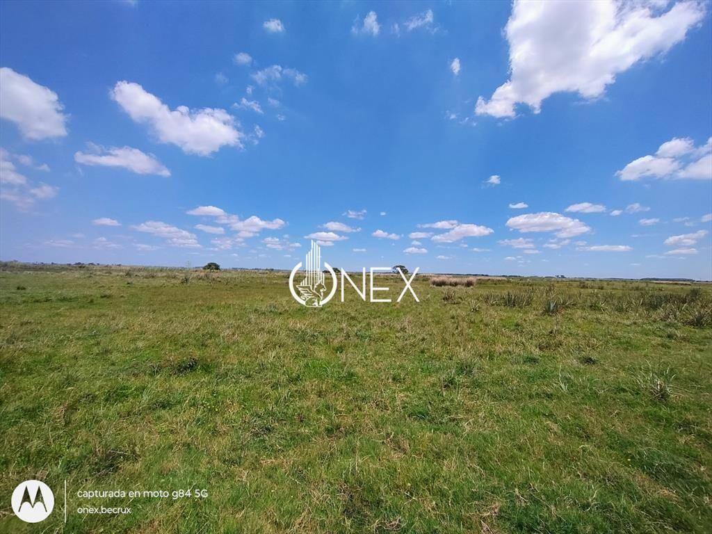 Oportunidad Venta de Campo agricola ganadero 576