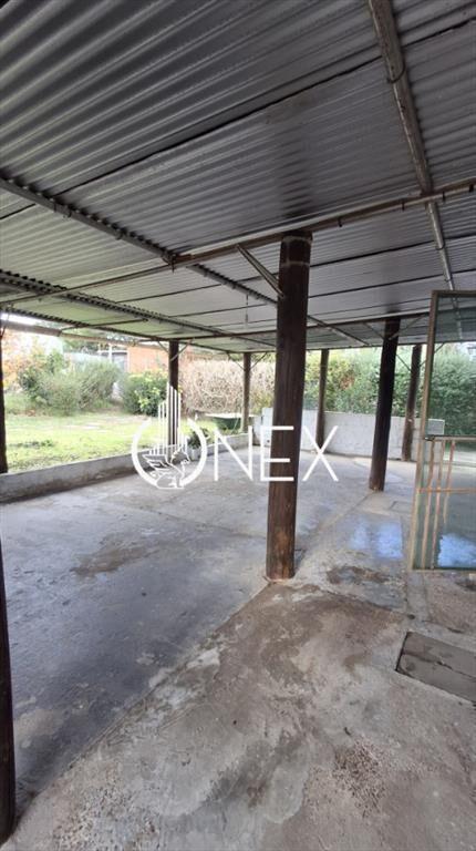 Alquiler casa 3 dorm. Salinas zona ruta 87