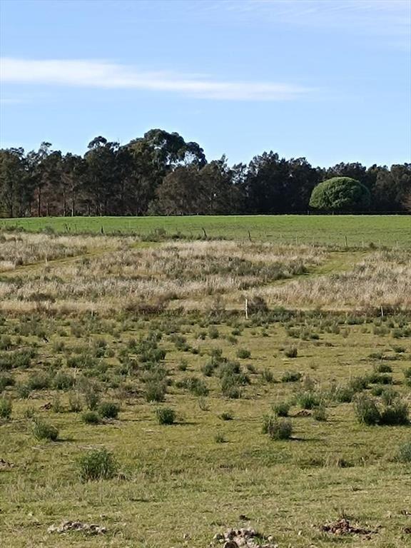 Terreno en Colonia del Sacramento
