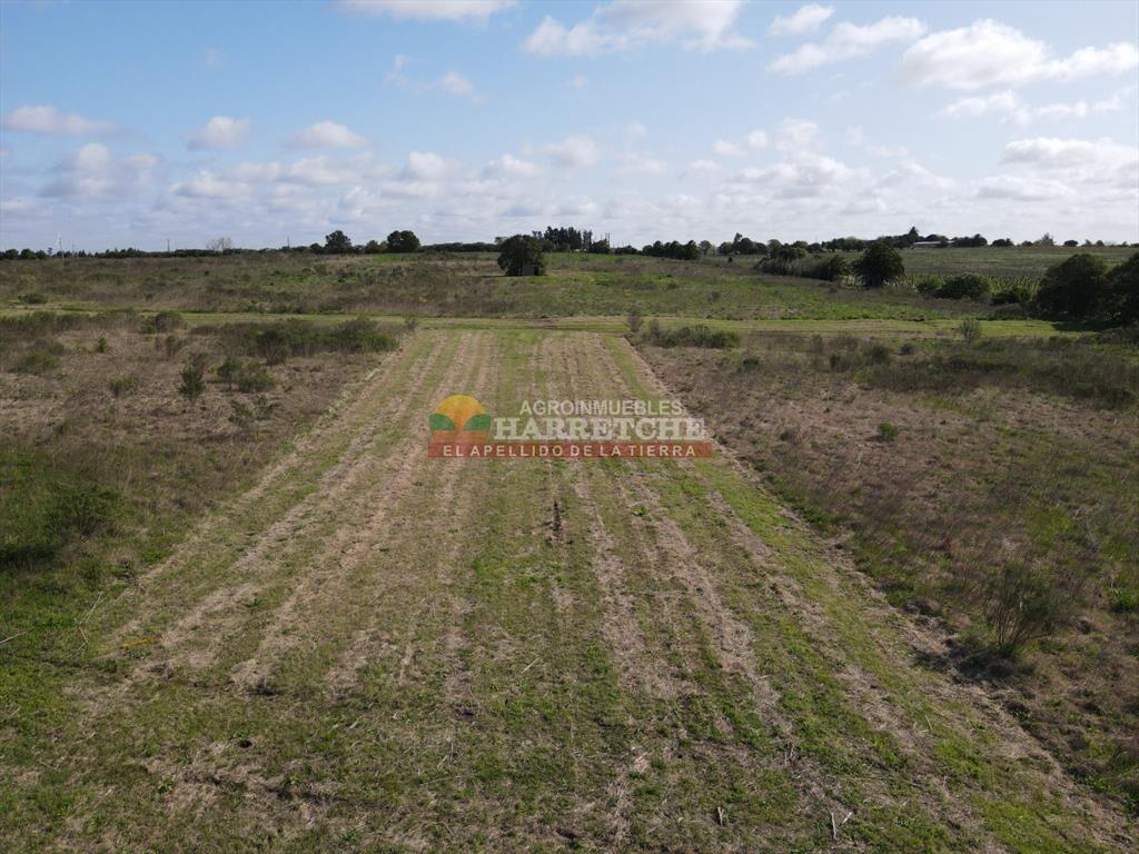 Terrenos en venta en Progreso, fraccionamiento de