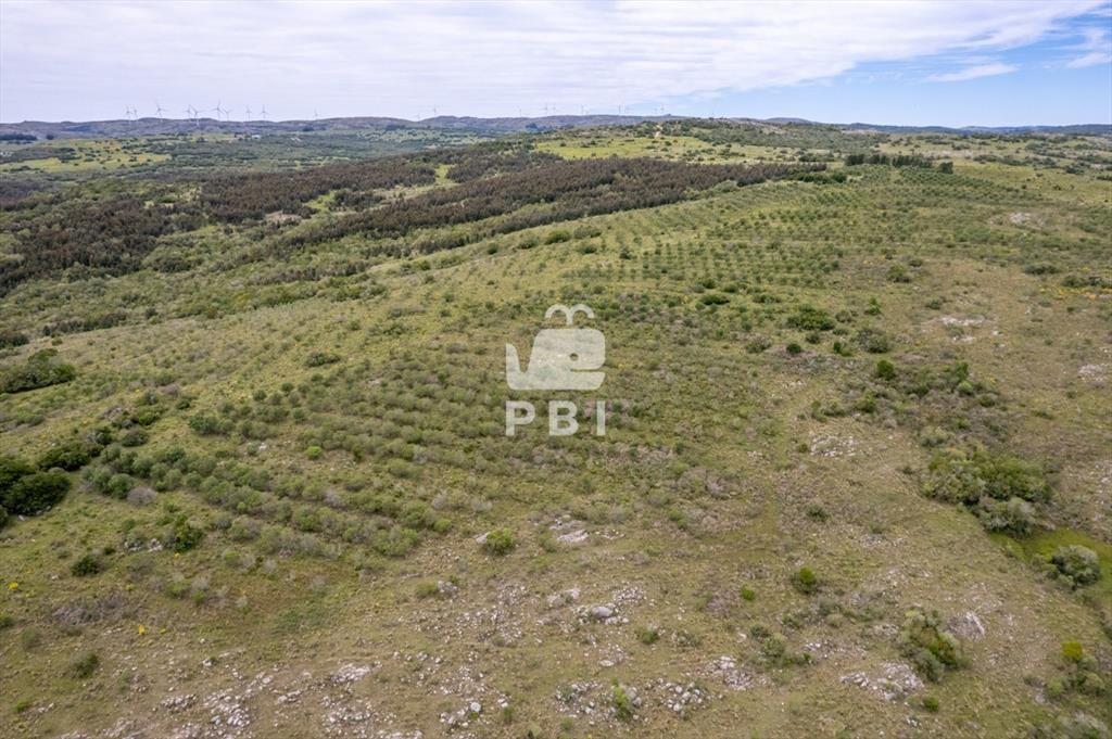 Chacra en Aigua - Ref : PBI13150