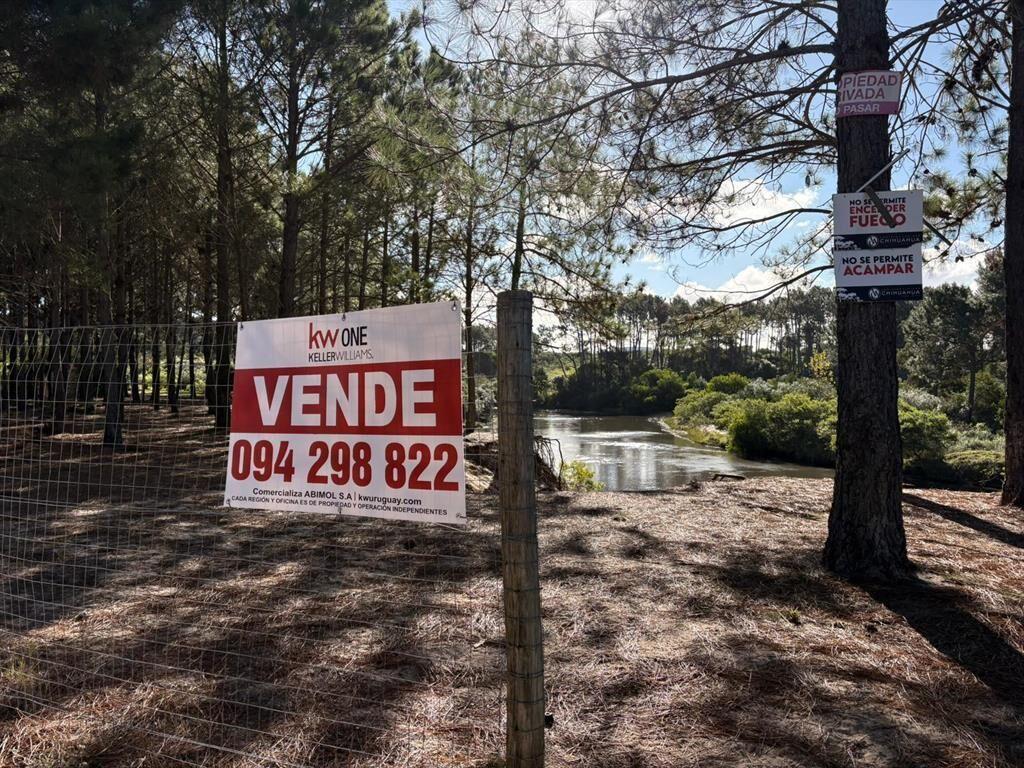 Terreno apto desarrollo lotes