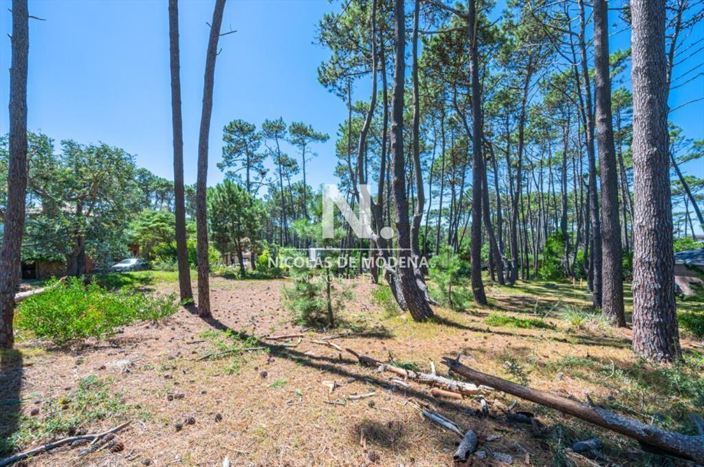Vende terreno en Laguna Blanca.