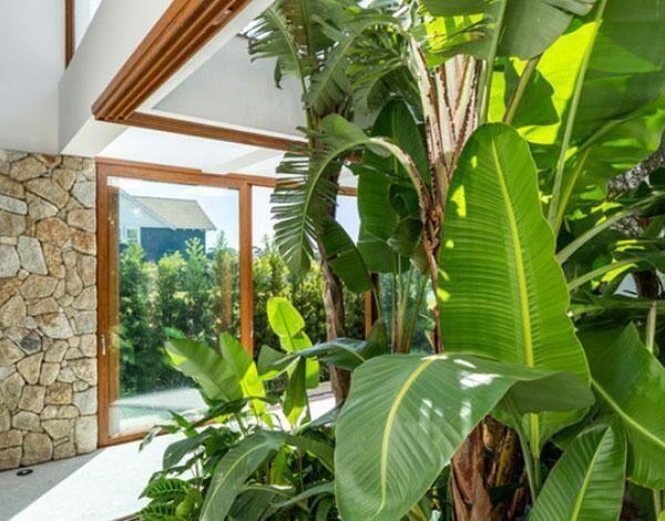 Venta apartamento de dos dormitorios y terraza, a estrenar-