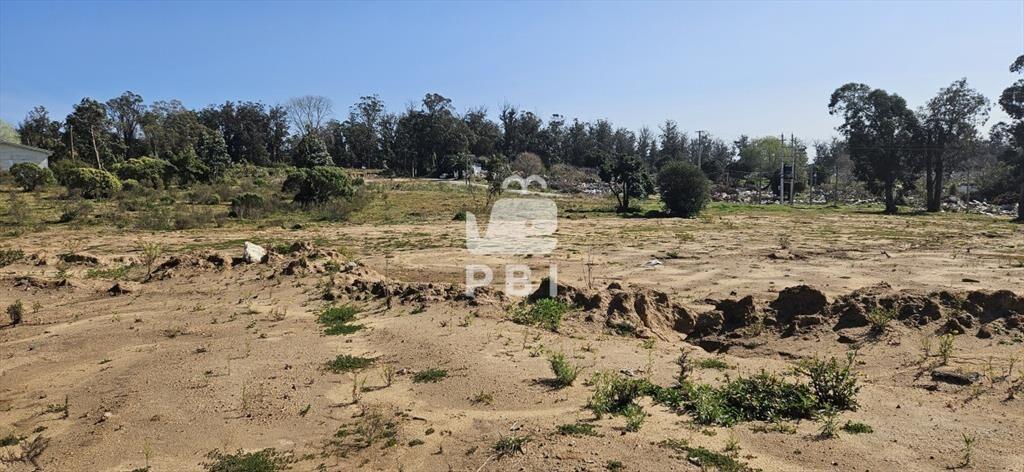 Terrenos en venta frente a Club de Golf de Punta