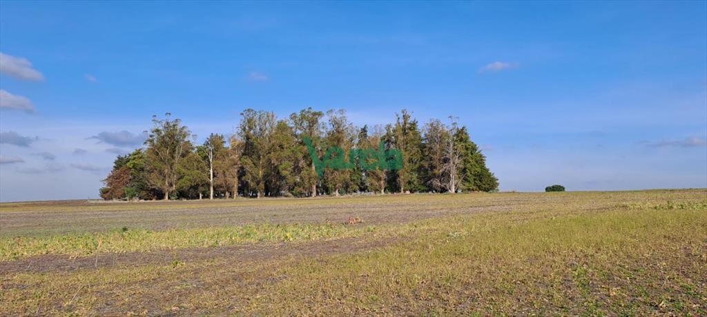 Campo 108 has. próximo a San Jacinto
