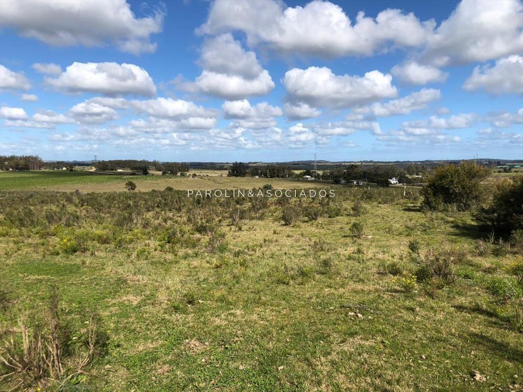 Campo en venta excelente lugar
