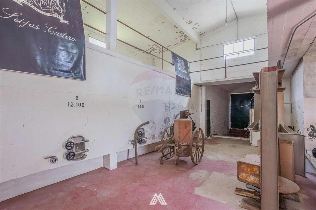 VENTA CHACRA DE 5.84 HA, Bodega Boutique, SAN JOSÉ
