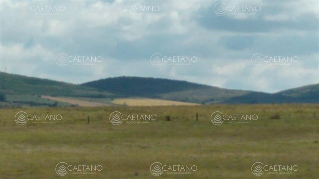 Chacra en venta, San Carlos, zona Partido Norte