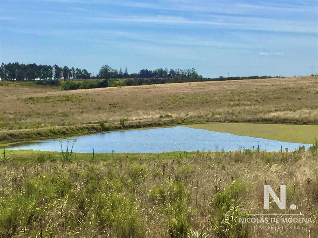 Campo productivo en zona José Ignacio