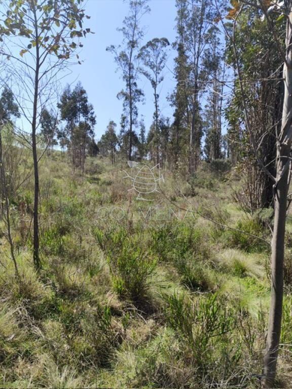 Campo 5 has en Partido Norte a 38 km de Punta del