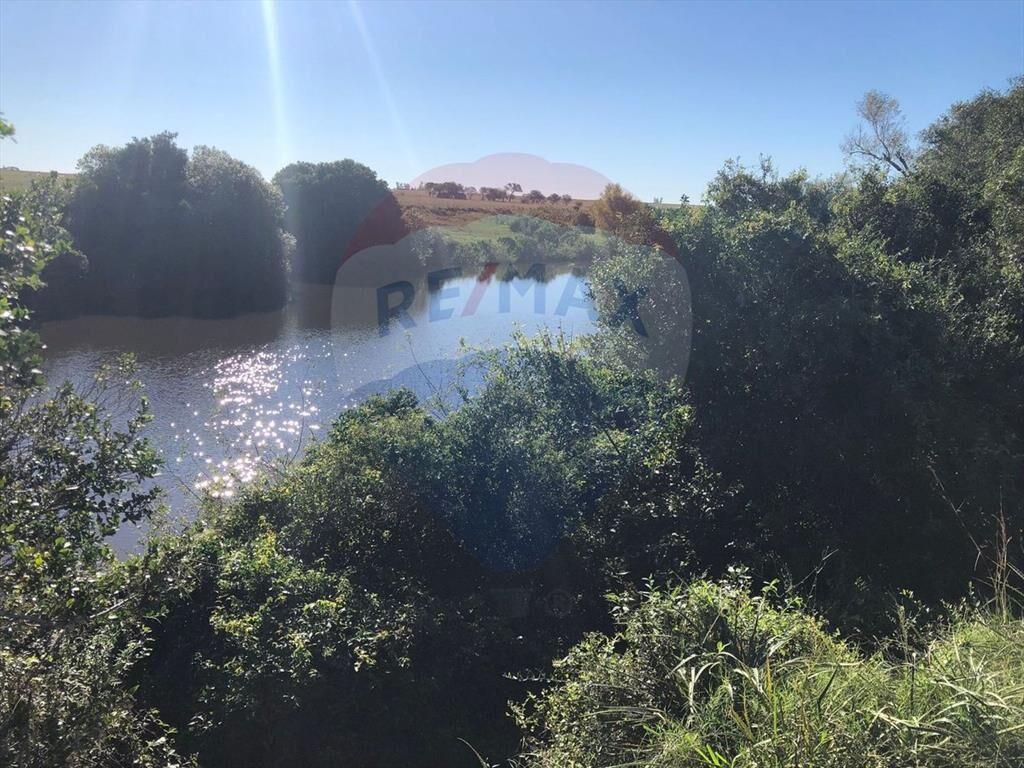 Venta Campo Río Negro - Ganadero Agrícola 350 has