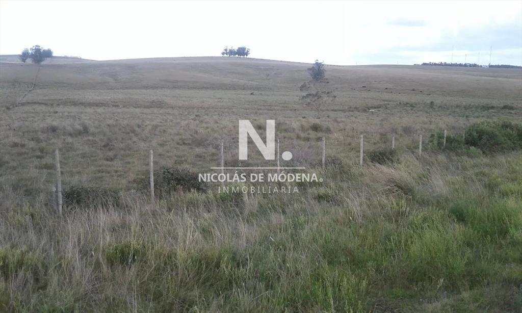 Campo Ruta 9  SAN CARLOS
