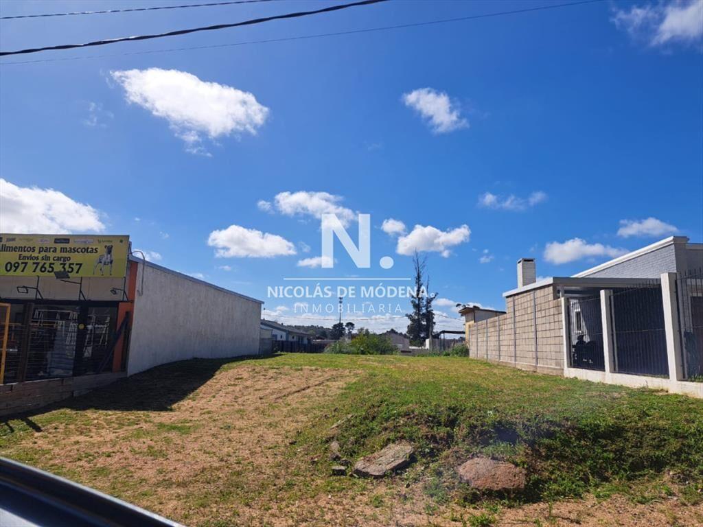 Vende terreno sobre avenida Leandro Gomez,