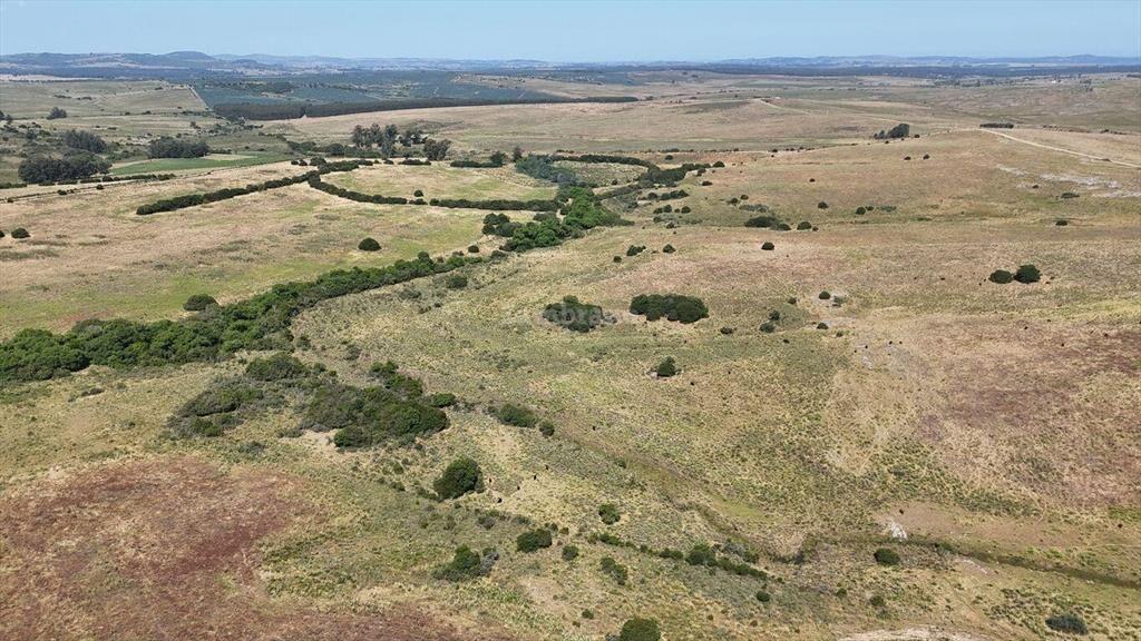 Campo Ganadero en Maldonado