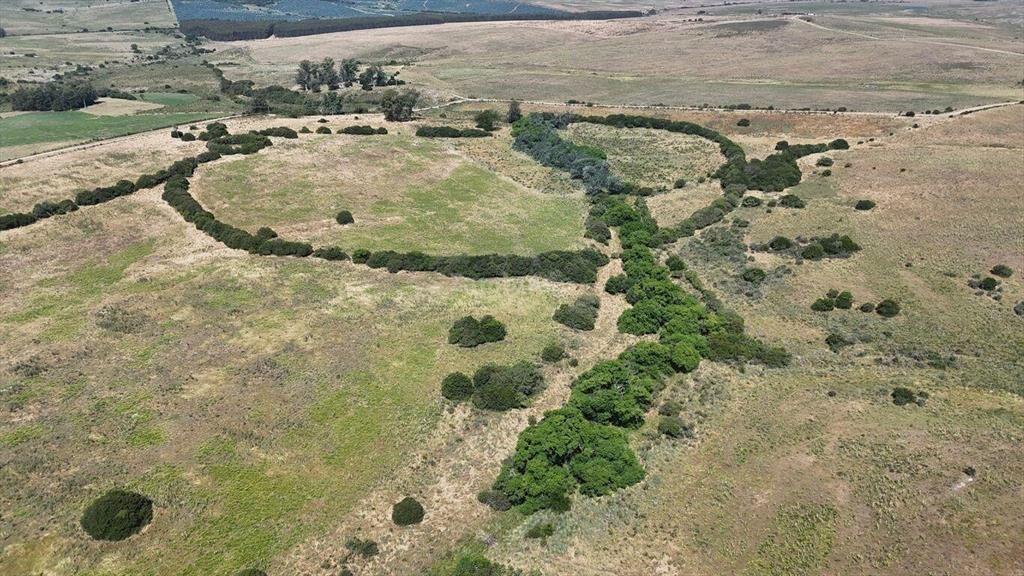 Campo Ganadero en Maldonado