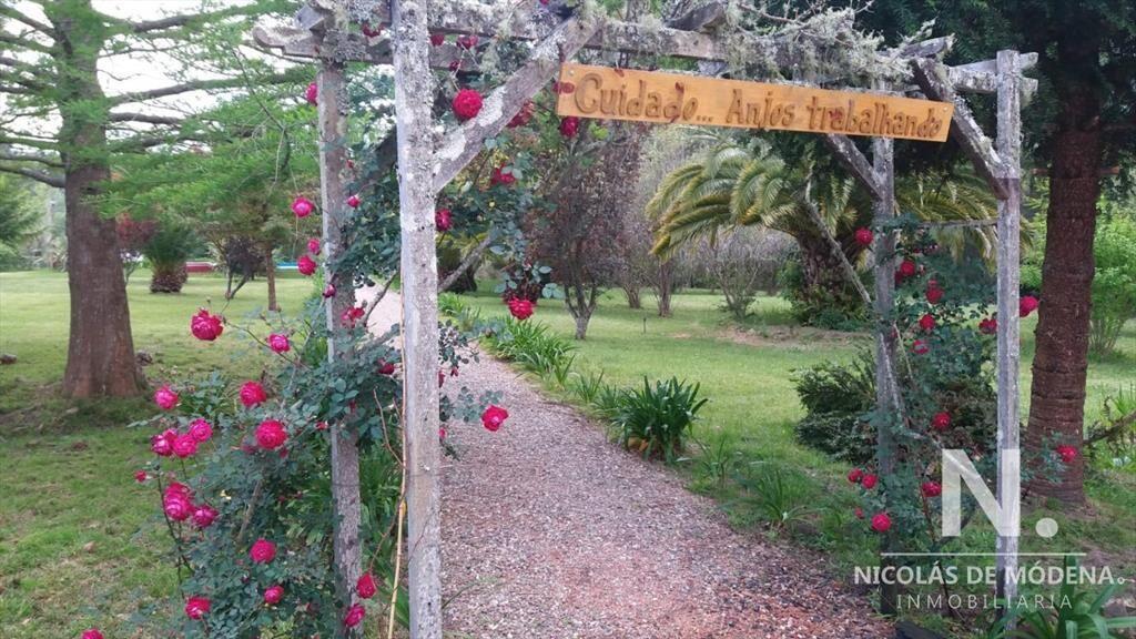 Chacra en Punta Ballena, la Pataia 5 Has