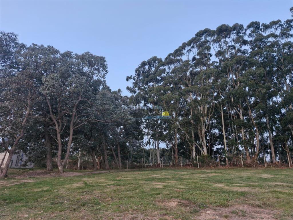TERRENO EN DON MIGUEL