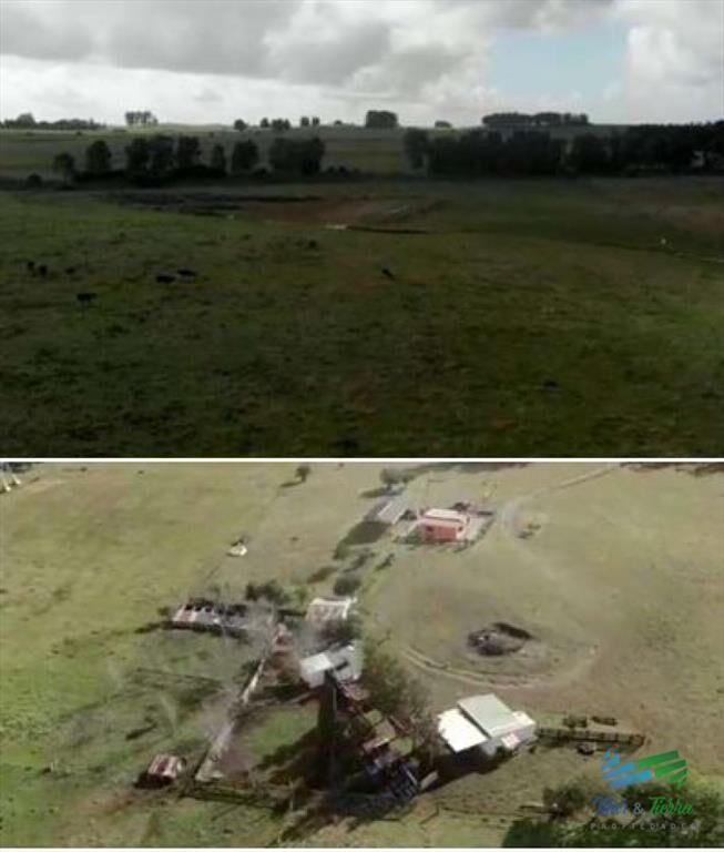 Muy linda fracción de campo, excelentemente con