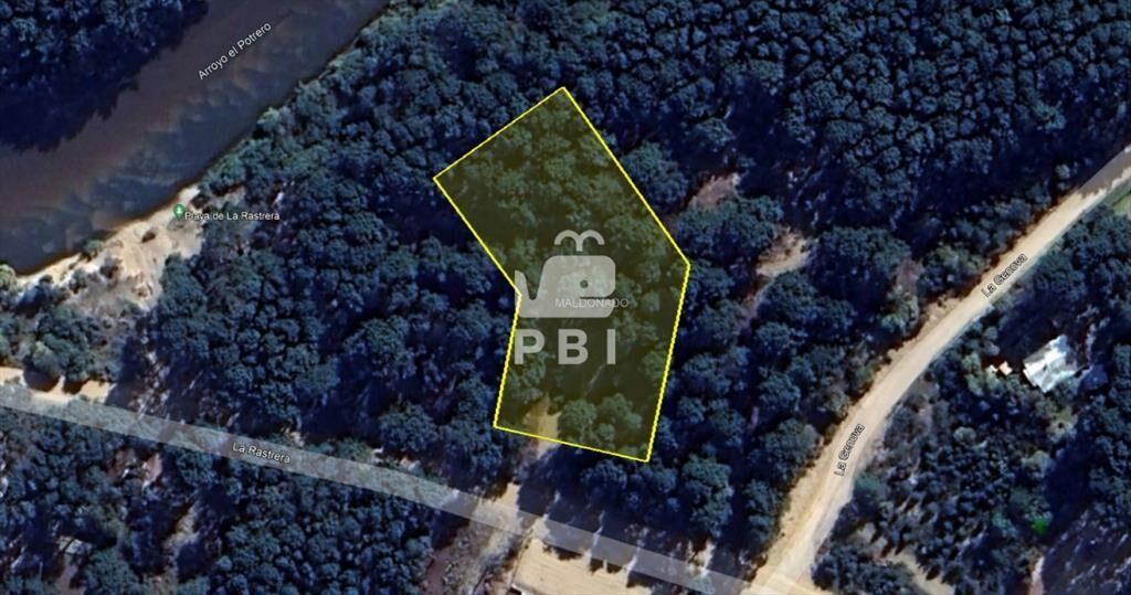 Terreno en Chihuahua, Punta Ballena - Ref : PBI3045