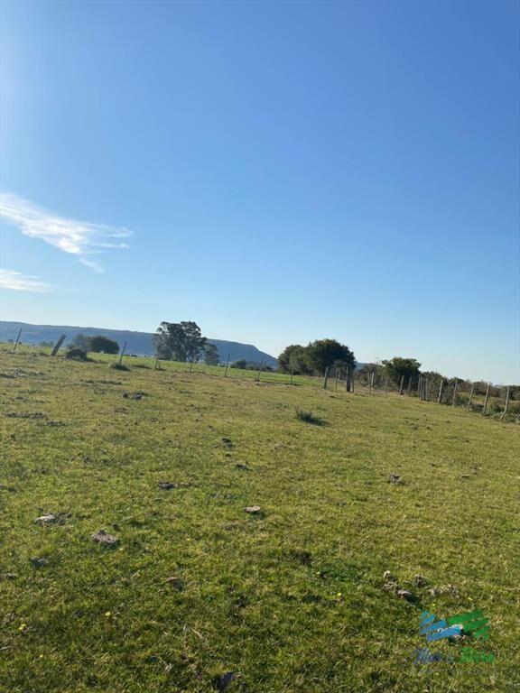 Buen campo mixto a 1 hora de Punta, buen acceso e