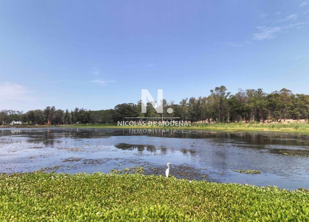 En venta, lote de 1126m2 en la Reserva Montoya,