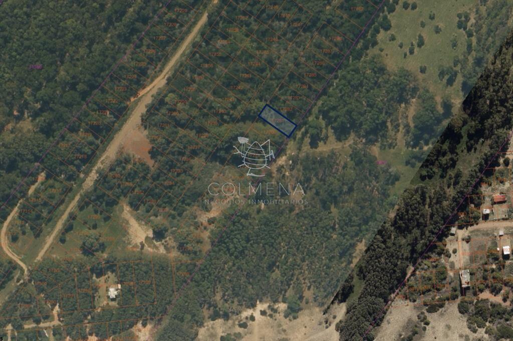 Terreno 627 m2 en Sauce de Portezuelo