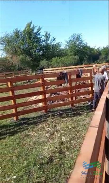 Excelente ubicación, Campo Mixto a poca de todo